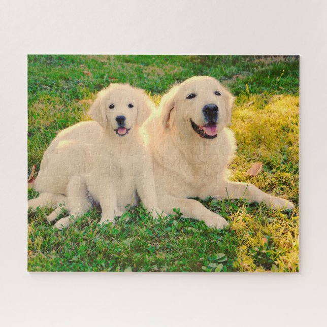 Golden Retriever Dog Pet Animal Mum or Dad & Pup Jigsaw Puzzle (Horizontal)
