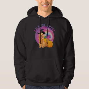 Golden Retriever Dog Pet Halloween Hoodie
