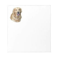 Golden Retriever dog photo portrait