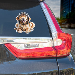 Golden Retriever Dog Pilot Best Friend Cute Pet 