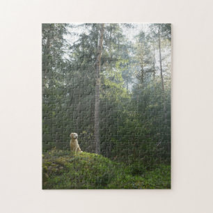 Golden Retriever Dog Pine Woodland Jigsaw Puzzle