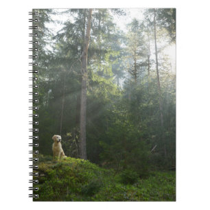 Golden Retriever Dog Pine Woodland Notebook