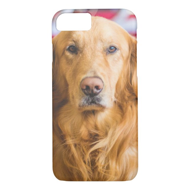 Golden Retriever dog portrait Case-Mate iPhone Case (Back)