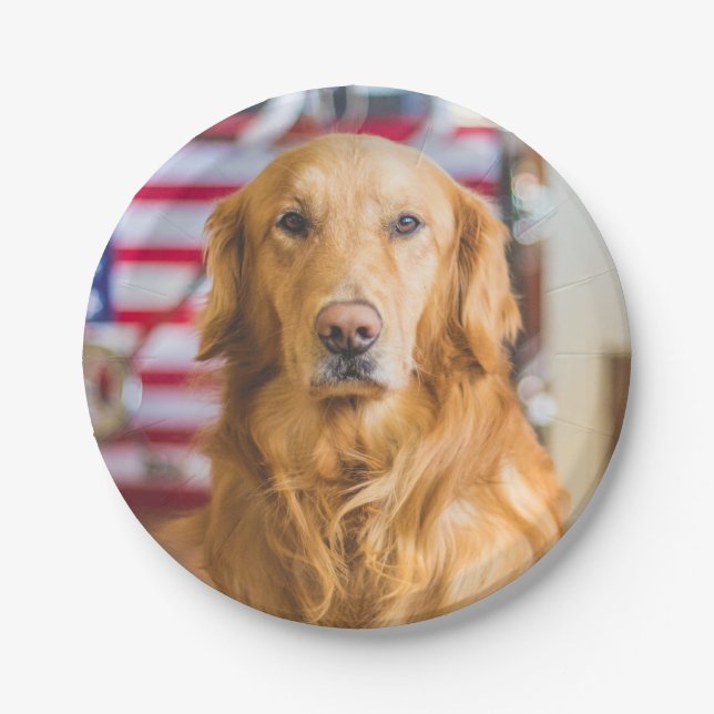 Golden Retriever dog portrait Paper Plate (Front)
