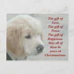 Golden Retriever dog puppy Christmas postcard<br><div class="desc">A picture taken in December on a visit to a beach in Rhode Island that was previously hit by hurricane Sandy.  Jasper,  the Golden Retriever puppy stops digging in the sand to stare at the ocean.</div>