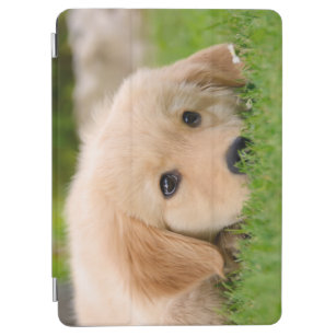 Golden Retriever Dog Puppy Dreaming on Gadget-Case iPad Air Cover
