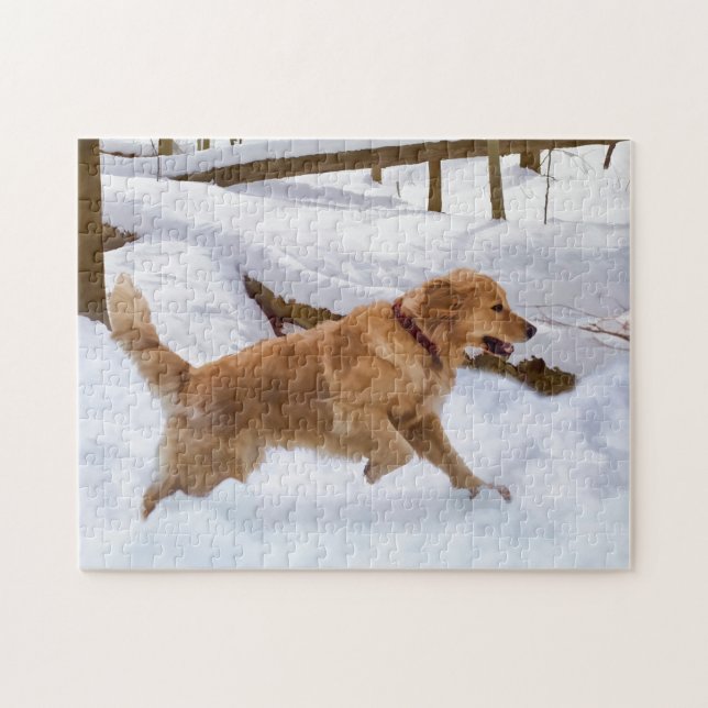 Golden Retriever Dog Puzzle (Horizontal)