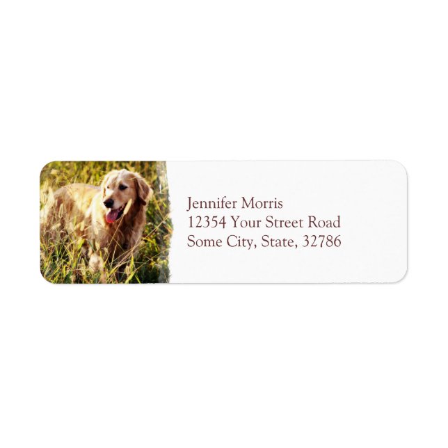 Golden Retriever Dog Return Address Label (Front)