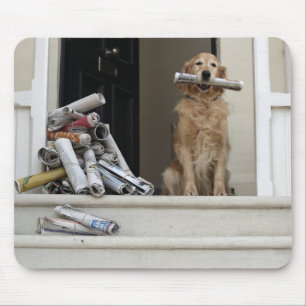 Golden retriever dog sitting at front door mouse pad