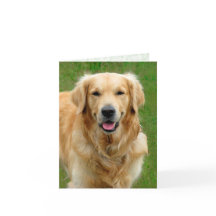 Golden Retriever—Dog Sympathy Card