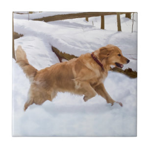Golden Retriever Dog Tile