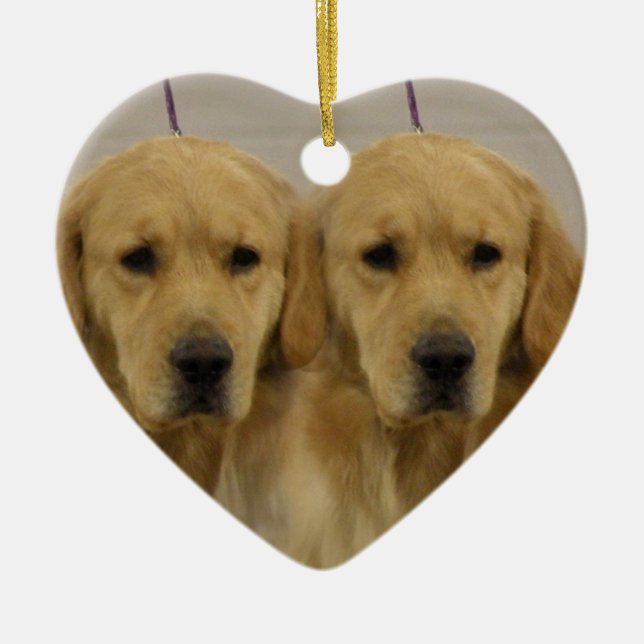 Golden Retriever Dog Twins Ornament (Front)