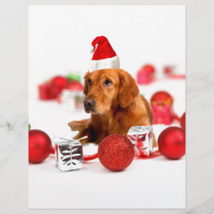 Golden Retriever Dog W Red Santa Hat Christmas