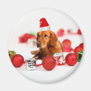 Golden Retriever Dog W Red Santa Hat Christmas Magnet