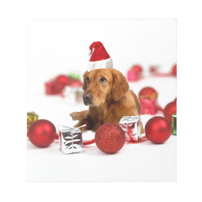 Golden Retriever Dog W Red Santa Hat Christmas Notepad (Front)