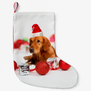 Golden Retriever Dog W Red Santa Hat Christmas Small Christmas Stocking