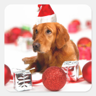 Golden Retriever Dog W Red Santa Hat Christmas Square Sticker