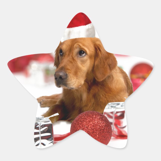 Golden Retriever Dog W Red Santa Hat Christmas Star Sticker (Front)