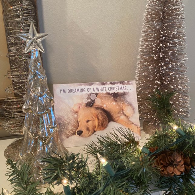 Golden Retriever Dog White Christmas Card (Creator Uploaded)