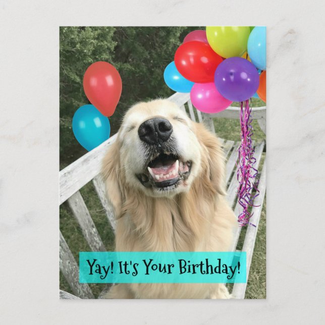 Golden Retriever Dog With Balloons Birthday Postcard (Front)