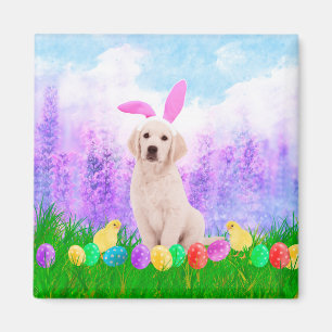Golden Retriever Dog with Easter Eggs Bunny Chicks Magnet