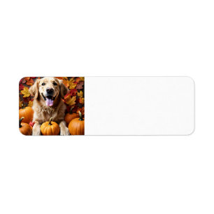 Golden Retriever Dog with Pumpkins & Leaves Label Return Address Label