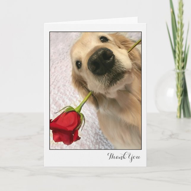 Golden Retriever Dog With Red Rose Thank You Card (Front)