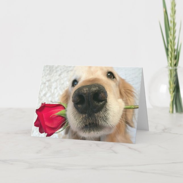 Golden Retriever Dog With Red Rose Valentine's Day Holiday Card (Front)