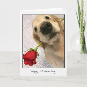 Golden Retriever Dog With Red Rose Valentine's Day Holiday Card