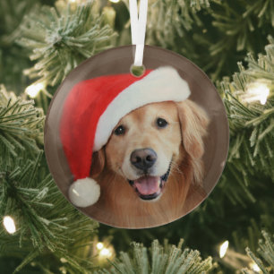 Golden Retriever Dog With Red Santa Hat Glass Orna Glass Tree Decoration