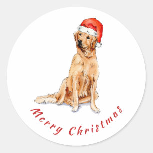 Golden retriever dog with Santa hat Classic Round Sticker