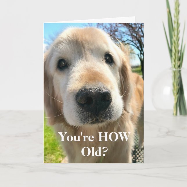 Golden Retriever Dog You're How Old Birthday Card (Front)