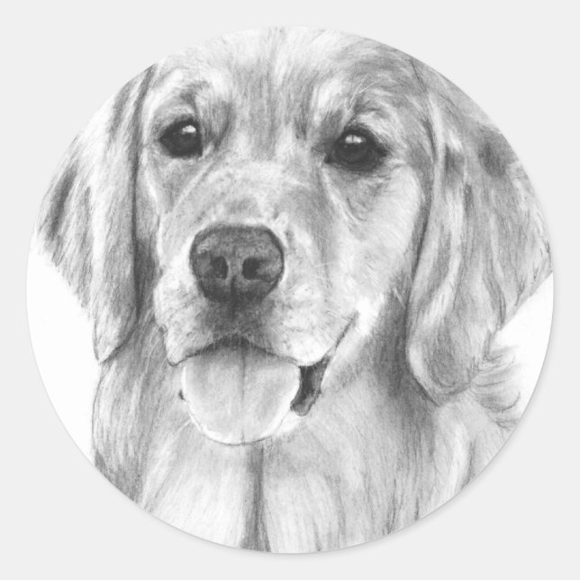 Golden Retriever Drawing Stickers (Front)