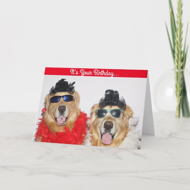 Golden Retriever Dressed Up Birthday Card (Front)