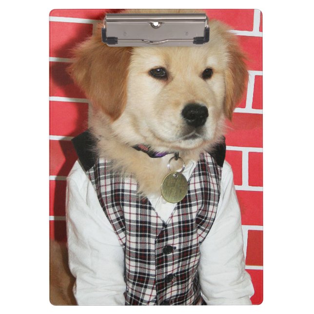 Golden Retriever Dressed Up Puppy Clipboard (Front)