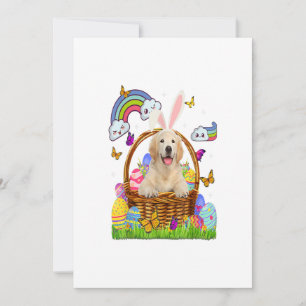 Golden Retriever Easter Eggs Funny Cute Dog Announcement