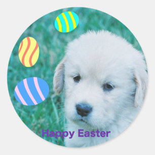 Golden Retriever Easter Puppy Cards & Gifts Classic Round Sticker