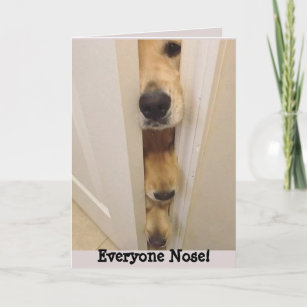 Golden Retriever Everyone Nose Birthday Card