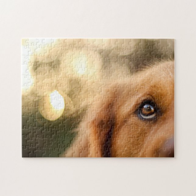 Golden Retriever Eye Closeup Jigsaw Puzzle (Horizontal)