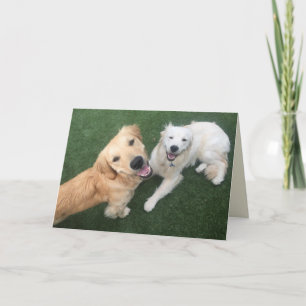 Golden Retriever Father’s Day Card