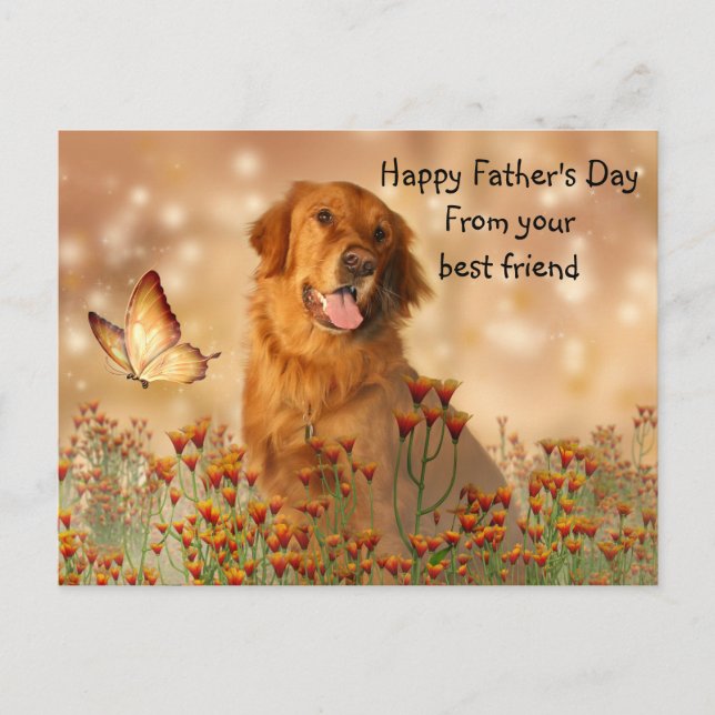 Golden Retriever Father's Day Postcard (Front)