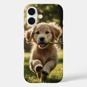 Golden Retriever Fetch iPhone 16 Case