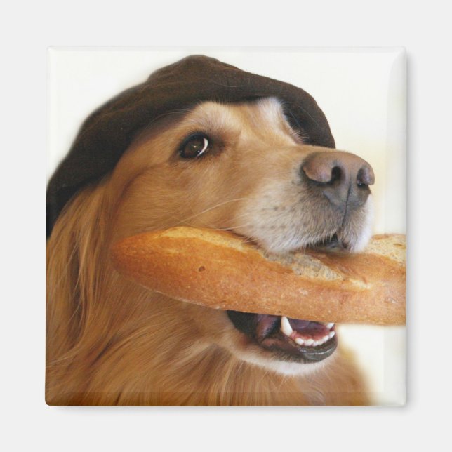 Golden Retriever French Bread Magnet (Front)