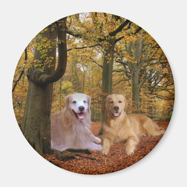 Golden Retriever Friendship Magnet (Front)