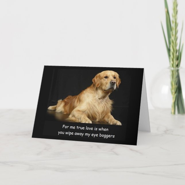 Golden Retriever Funny Birthday Card (Front)