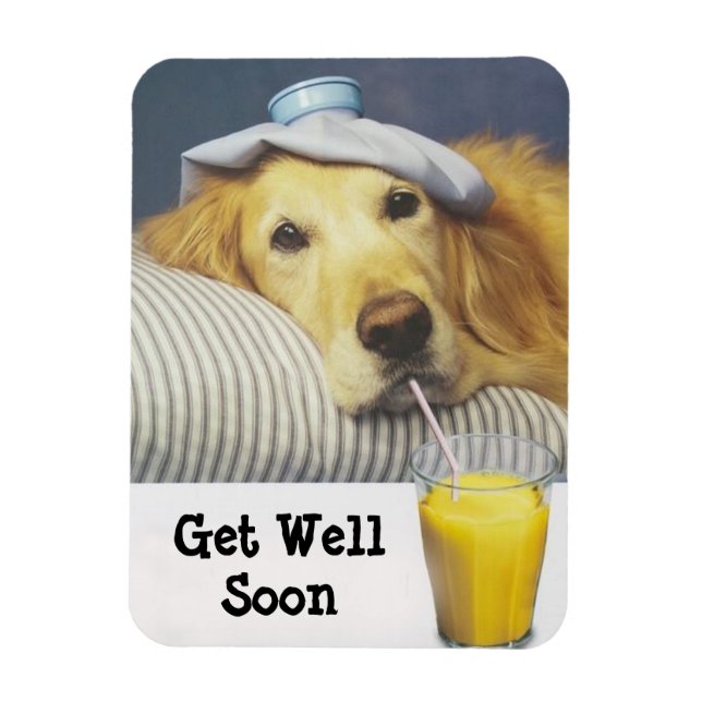 Golden Retriever Get Well Flexible Magnet (Vertical)
