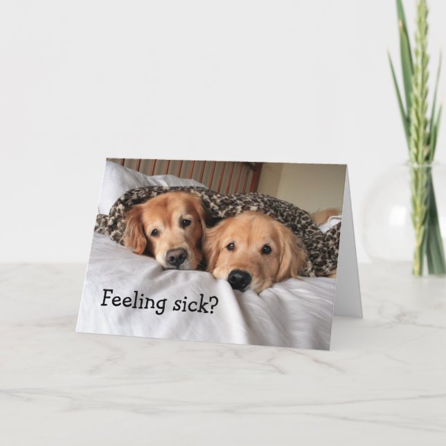 Golden Retriever Get Well Soon Greeting Card (Front)