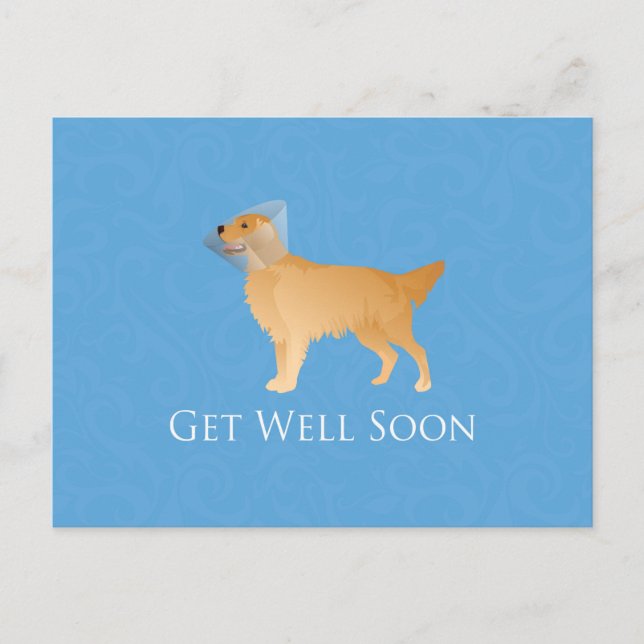 Golden Retriever Get Well Soon Postcard (Front)