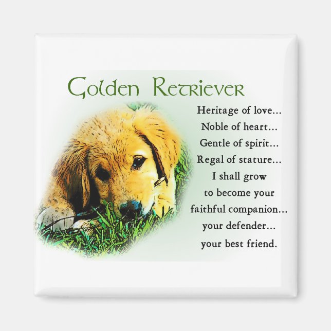 Golden Retriever Gifts Magnet (Front)