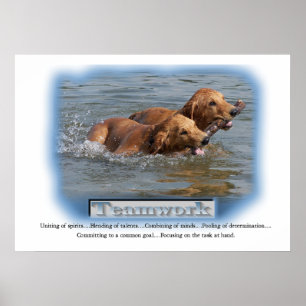 Golden Retriever Gifts Poster
